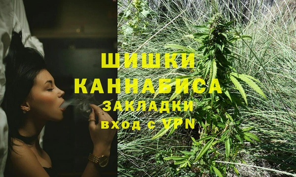 гидра Белоозёрский