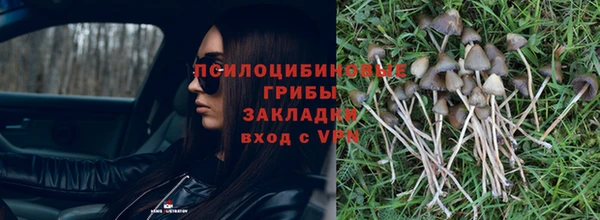альфа пвп Нея